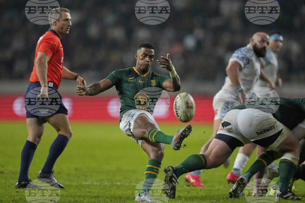 South Africa Italy Rugby