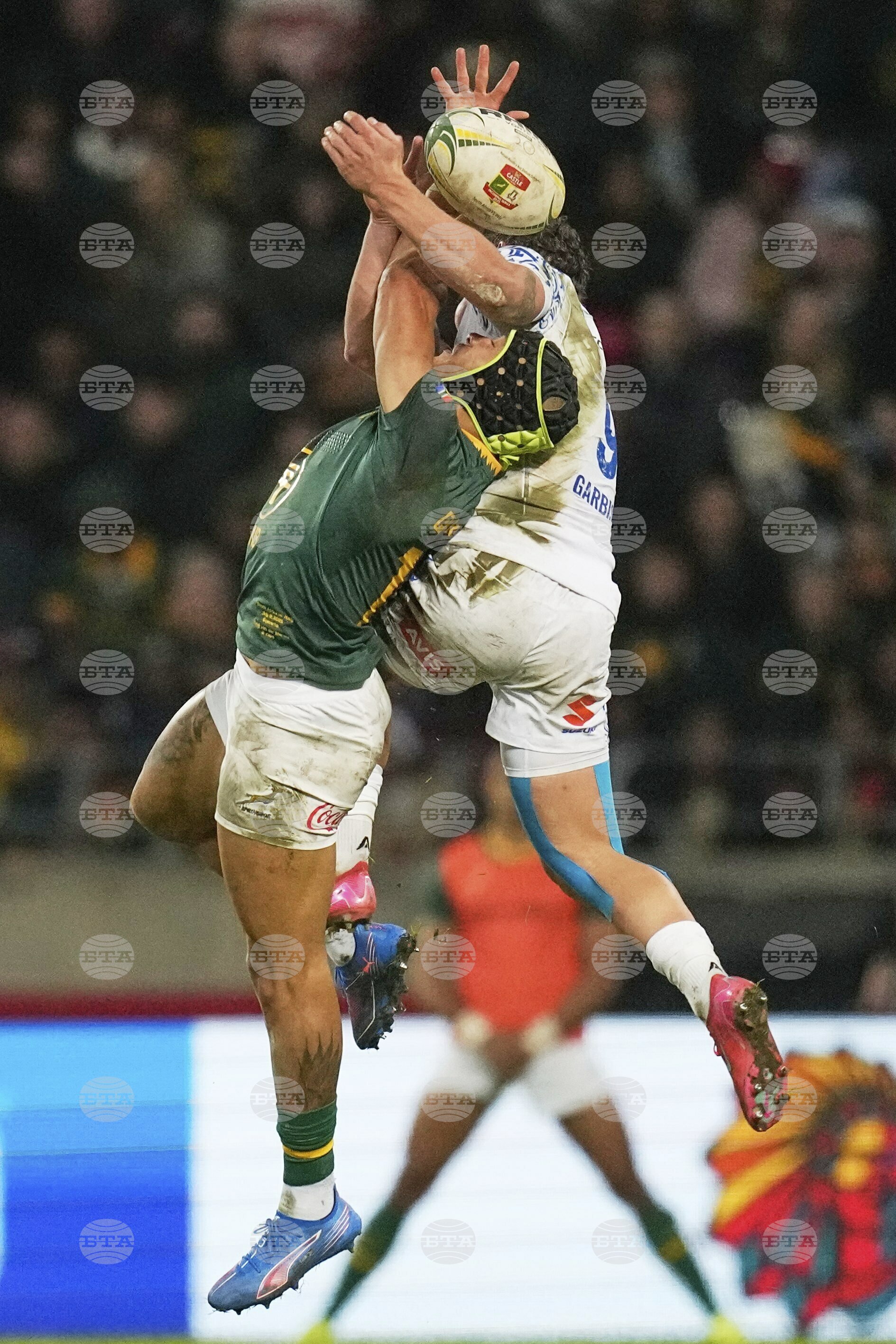 South Africa Italy Rugby