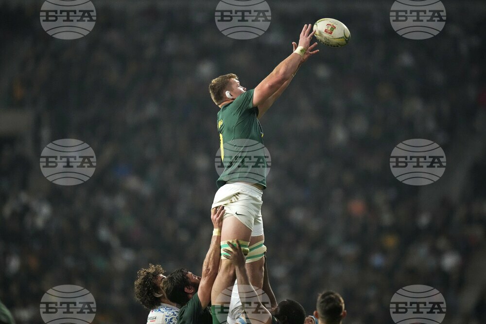 South Africa Italy Rugby