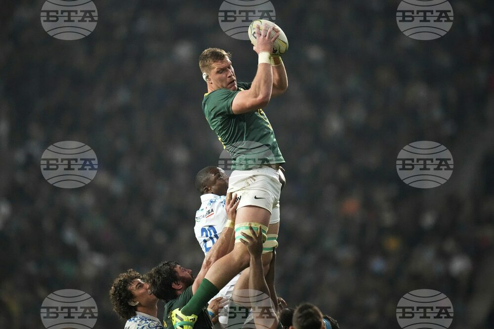 South Africa Italy Rugby