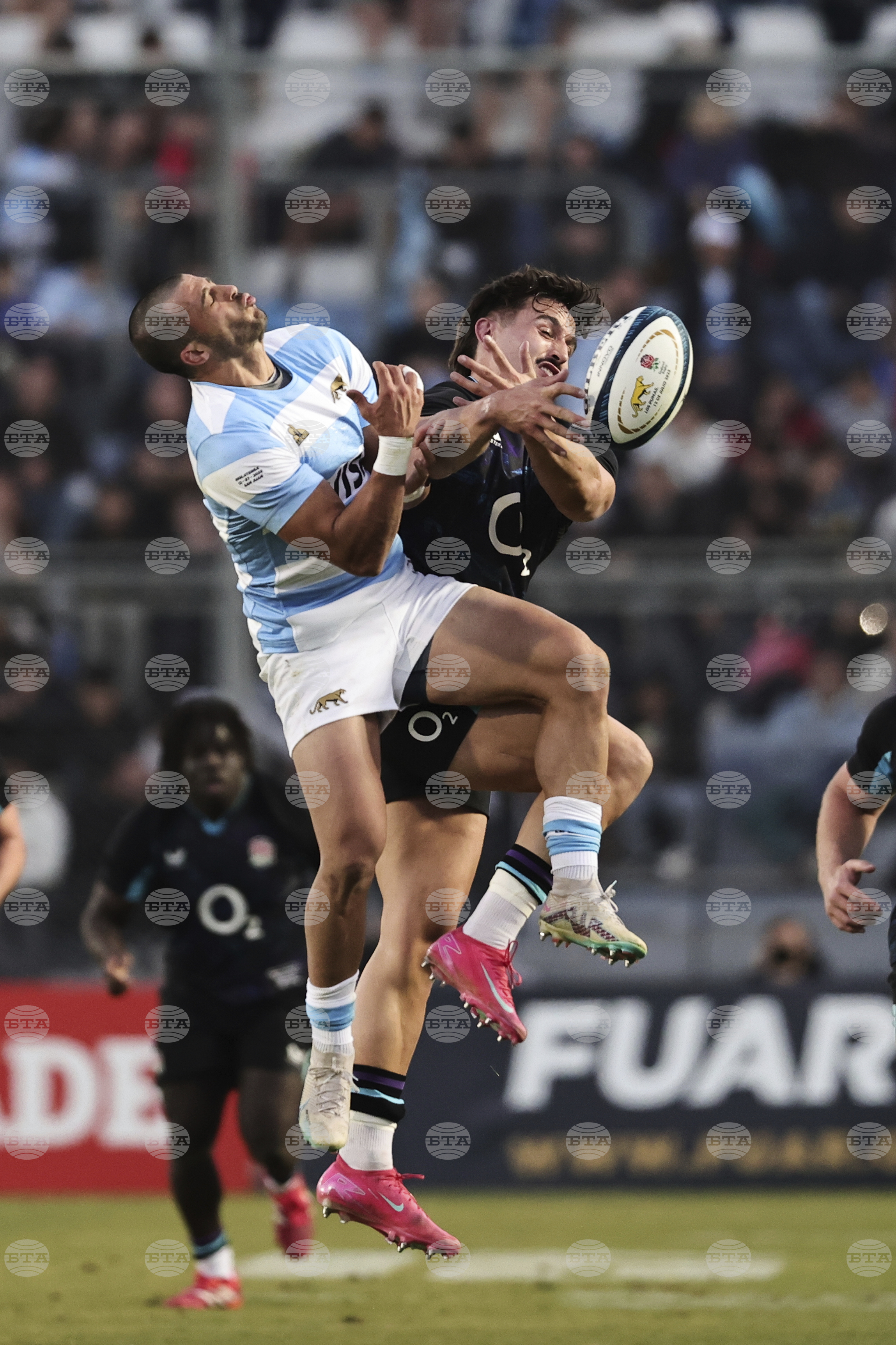 Argentina England Rugby