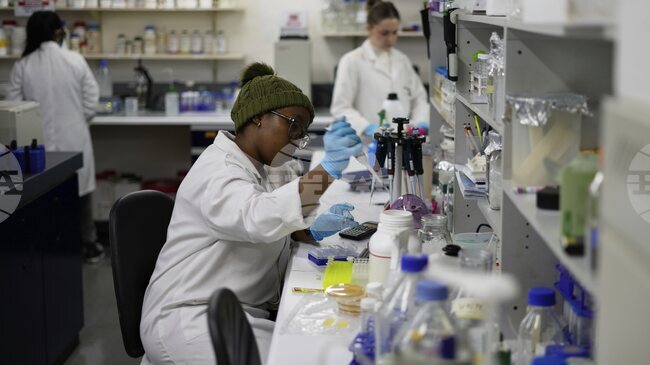 Учени започнаха изпитание на лекарствo с отрова от паяк за лечение на уврежданията от инфаркти и инсулти