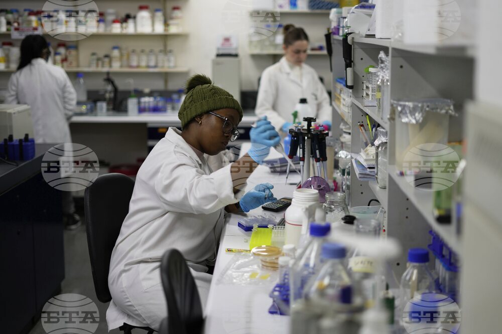 Учени започнаха изпитание на лекарствo с отрова от паяк за лечение на уврежданията от инфаркти и инсулти