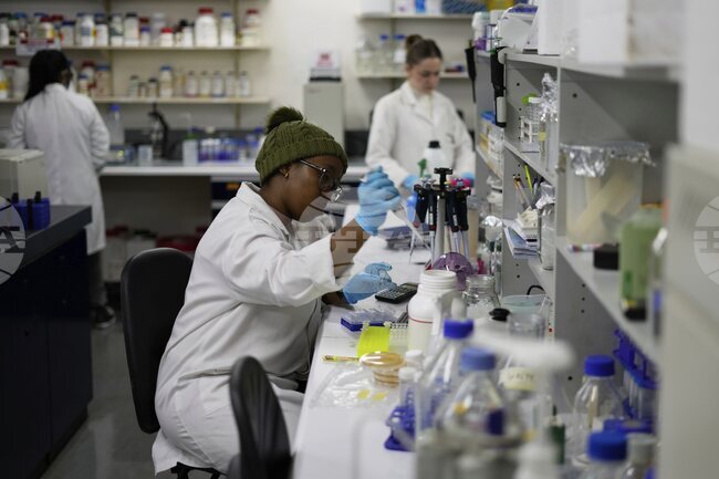 Учени започнаха изпитание на лекарствo с отрова от паяк за лечение на уврежданията от инфаркти и инсулти