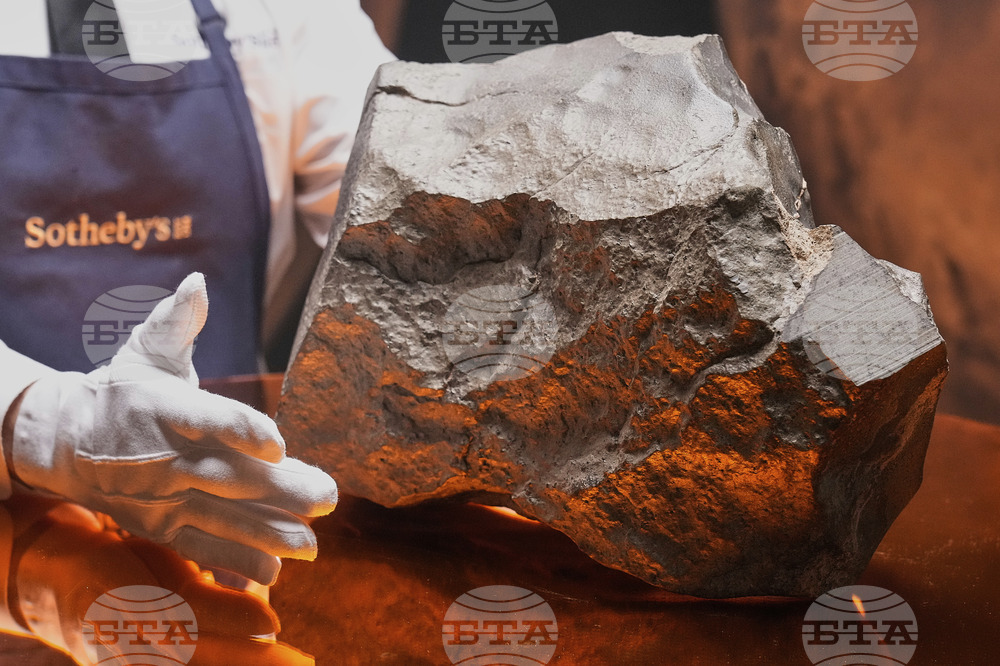 Метеорит от Марс беше продаден за 5,3 млн. щатски долара на търг в Ню Йорк
