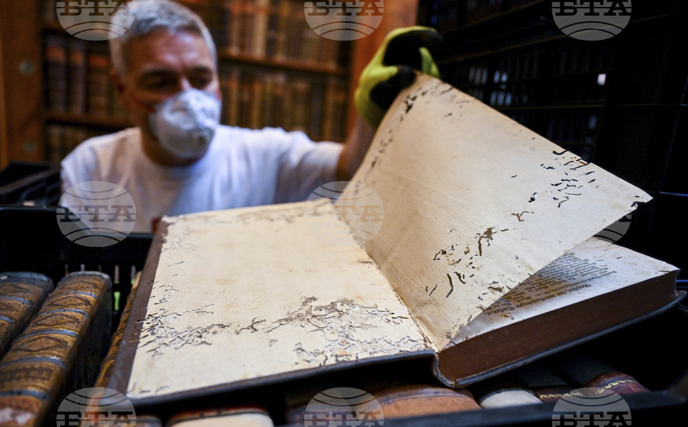 Hungary Medieval Library Infestation