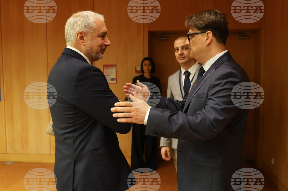 France - Ernesto Ottone - Marian Bachev - meeting