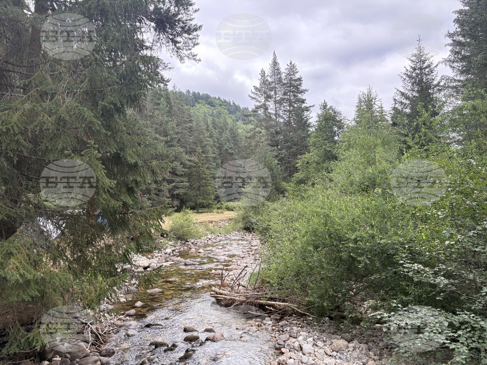 Село Говедарци - скаутски лагер