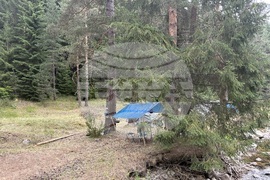 Село Говедарци - скаутски лагер