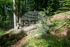 Troyan - "Steneto" reserve - ancient beech forest - UNESCO