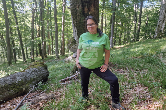 Troyan - "Steneto" reserve - ancient beech forest - UNESCO