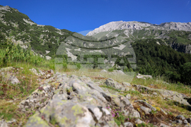 Bansko - Pirin National Park - UNESCO