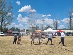 Село Обител - традиционен събор „Герлово пее и спортува“