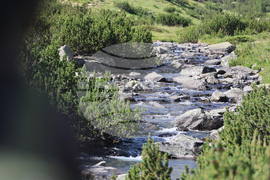 Bansko - Pirin National Park - UNESCO