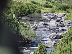 Bansko - Pirin National Park - UNESCO