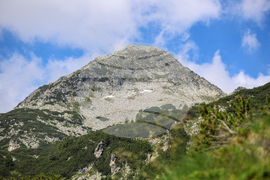 Bansko - Pirin National Park - UNESCO