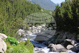 Bansko - Pirin National Park - UNESCO