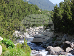 Bansko - Pirin National Park - UNESCO