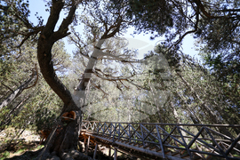 Bansko - Pirin National Park - UNESCO