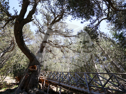 Bansko - Pirin National Park - UNESCO