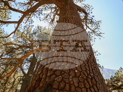 Bansko - Pirin National Park - UNESCO