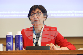 France - Paris - UNESCO - meeting on biodiversity conservation