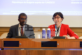 France - Paris - UNESCO - meeting on biodiversity conservation