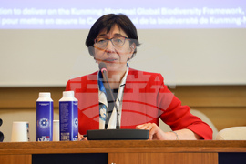 France - Paris - UNESCO - meeting on biodiversity conservation