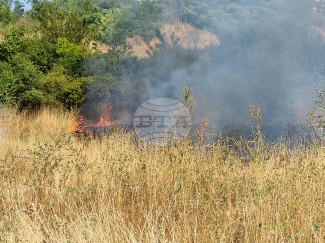 Запалени са около 900 дка сухи треви в луковитското село Карлуково