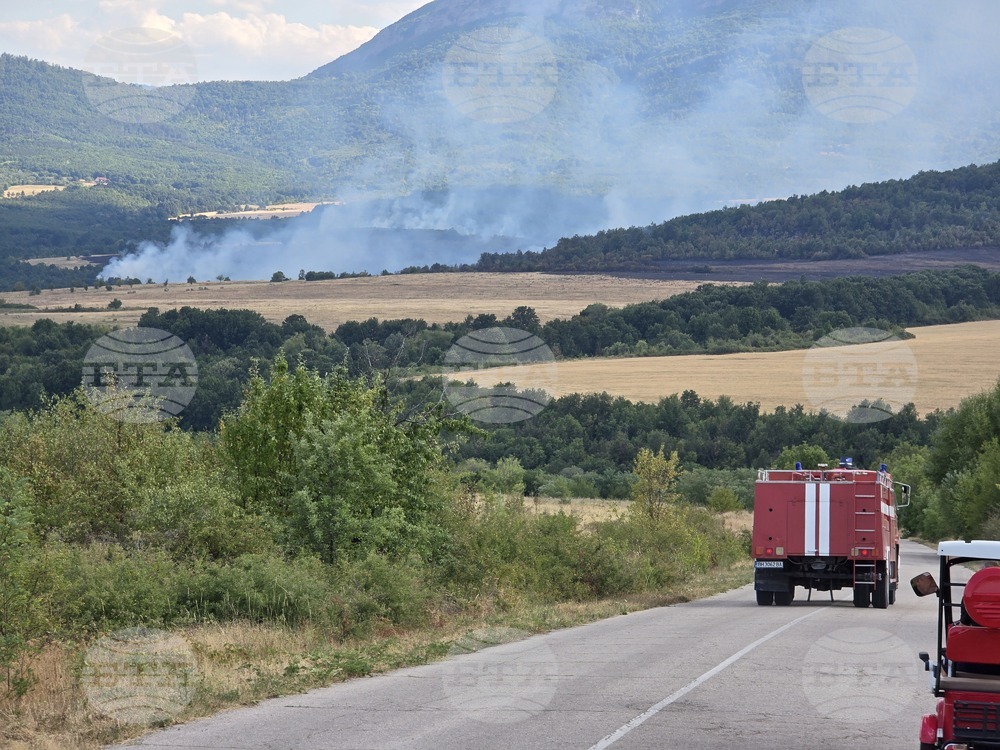 Голям пожар е пламнал между селата Граничак и Дъбравка, съобщиха от Община Белоградчик