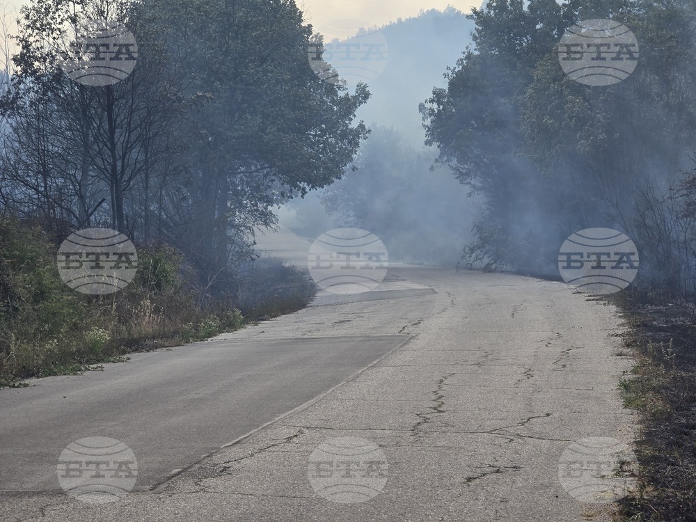 Горят сухи треви и храсти в района между квартал "Банево" и село Миролюбово край Бургас