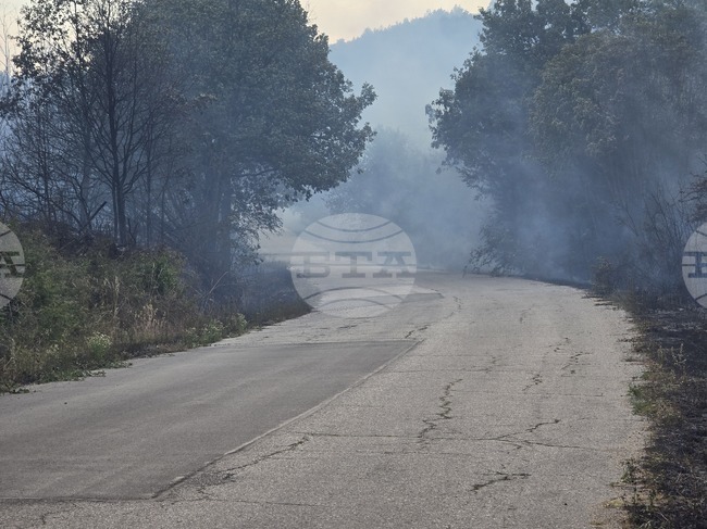 Горят сухи треви и храсти в района между квартал "Банево" и село Миролюбово край Бургас