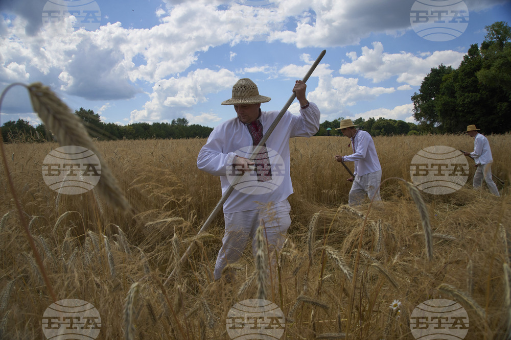 Russia Ukraine War Harwest