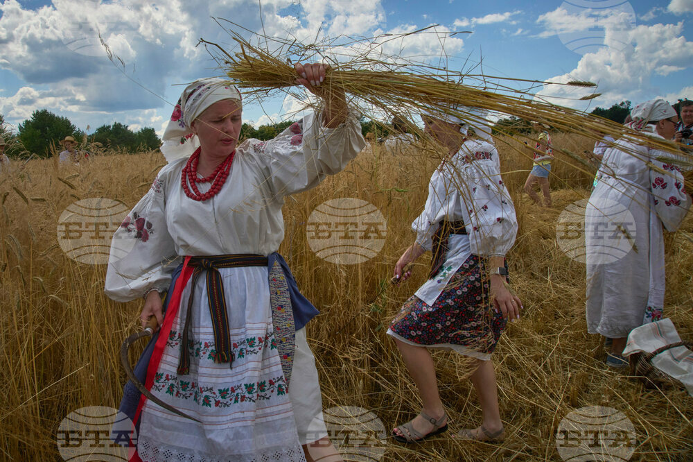 Russia Ukraine War Harwest