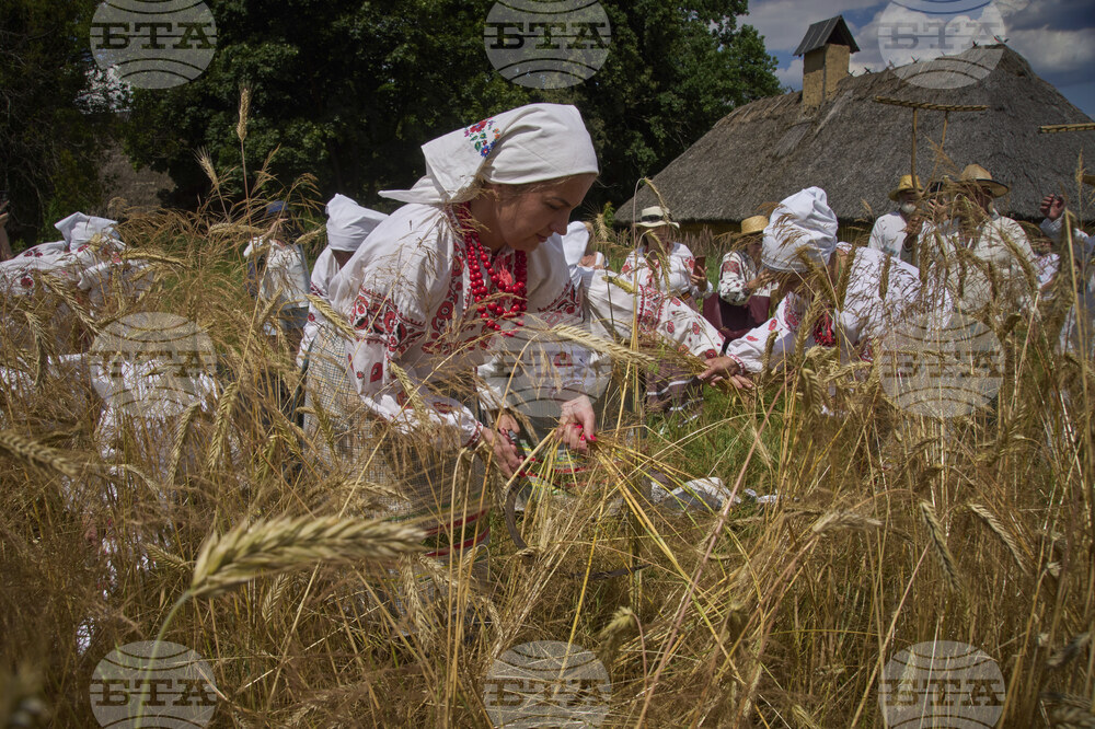 Russia Ukraine War Harvest
