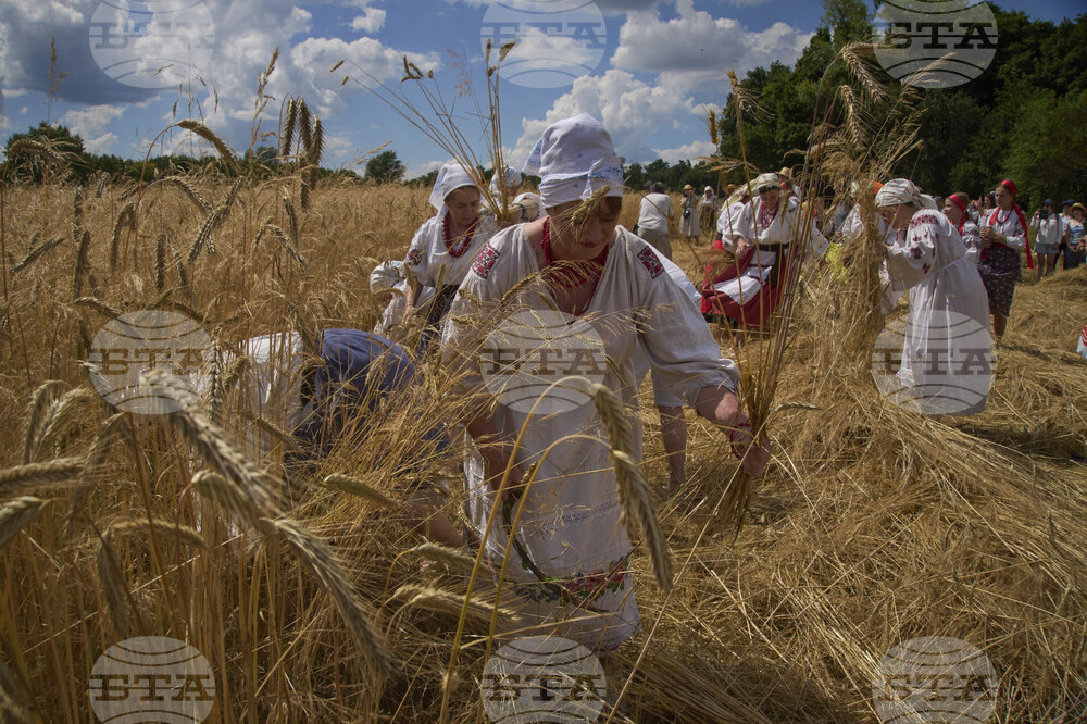 Russia Ukraine War Harvest