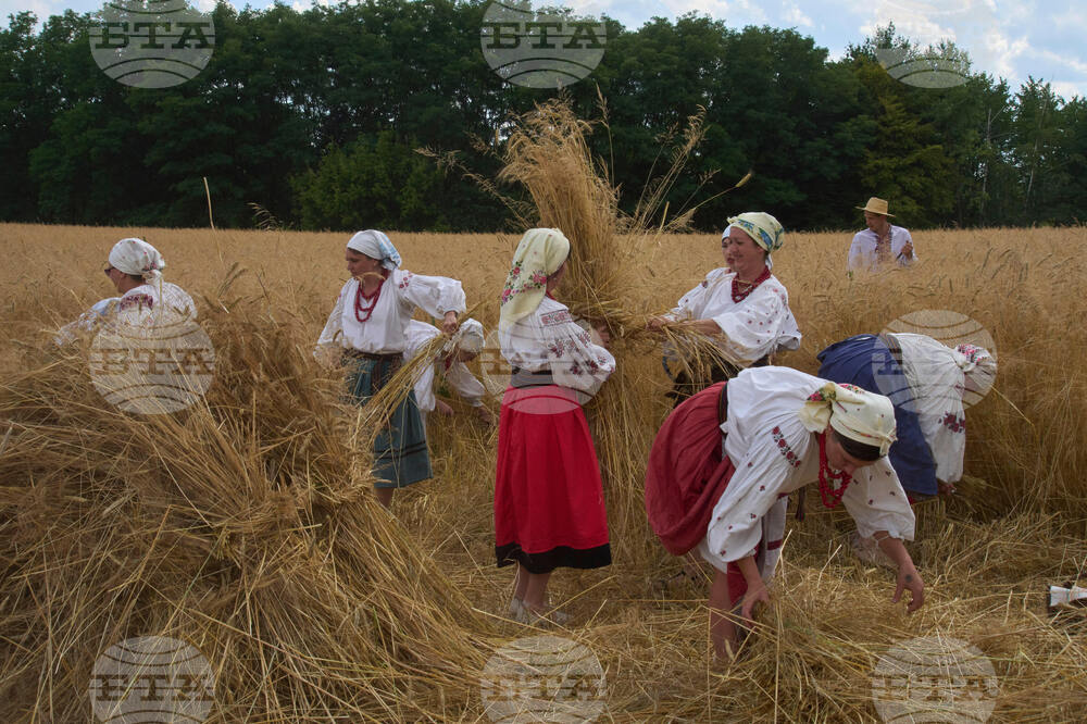 Russia Ukraine War Harvest