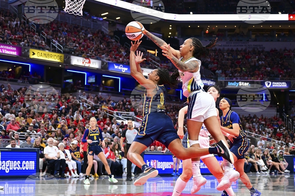 Wings Fever Basketball