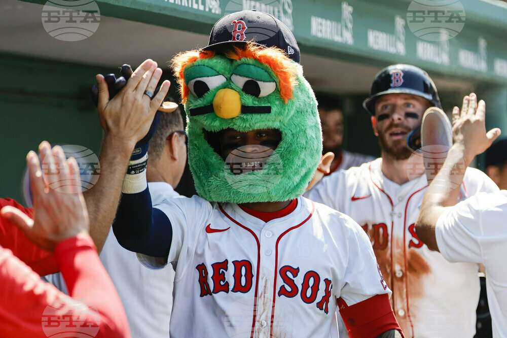 Rays Red Sox Baseball