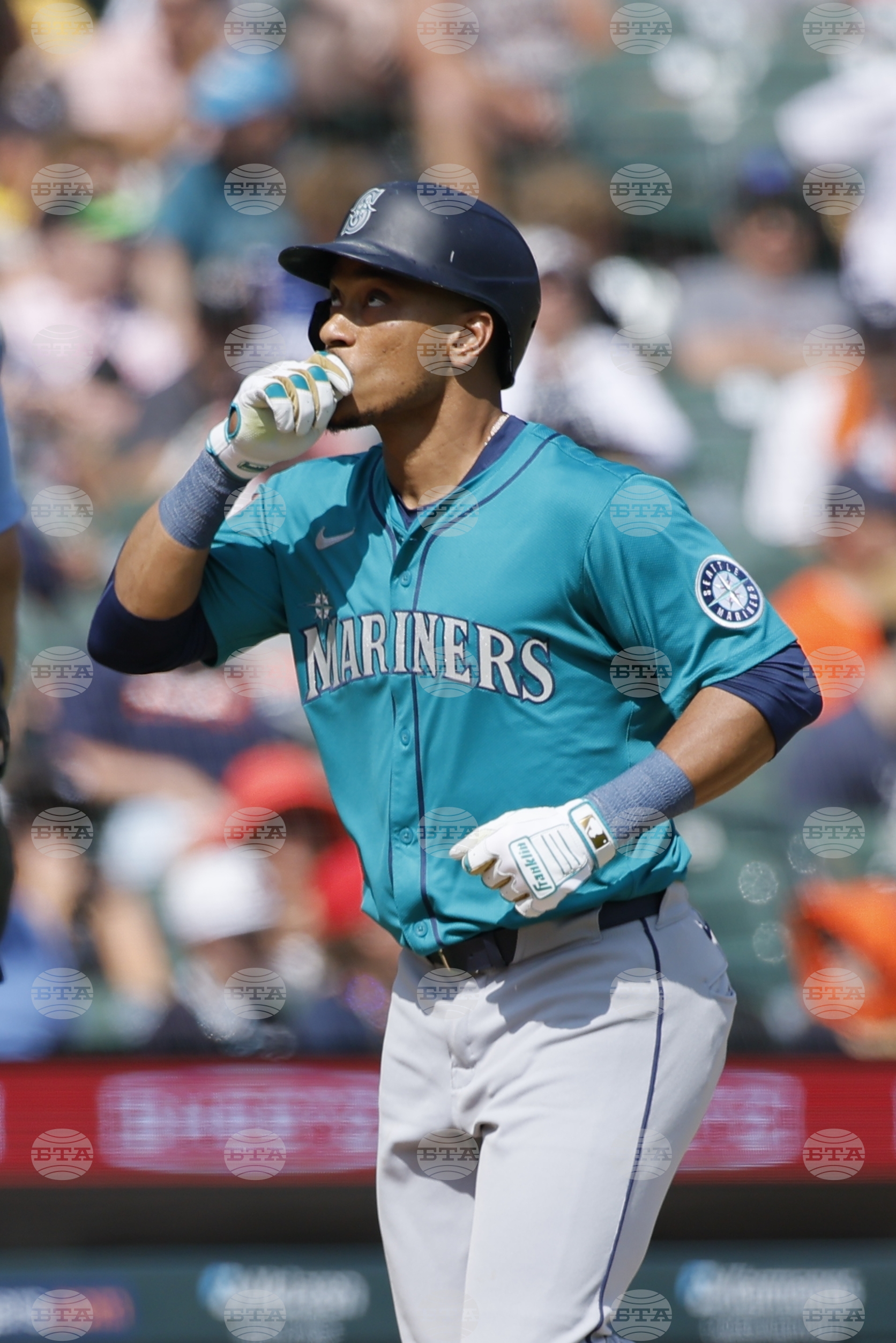 Mariners Tigers Baseball