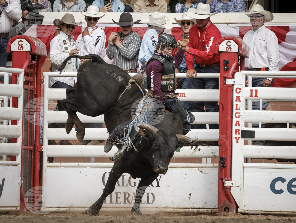 Calgary Stampede Rodeo