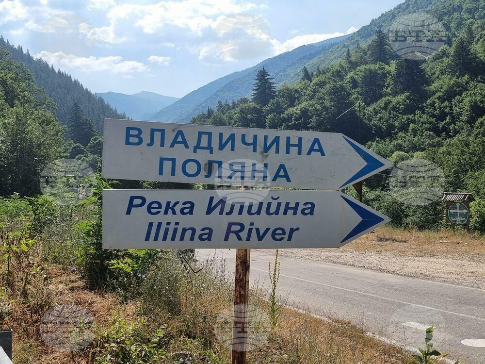 Над 60 декара борова гора и храсти са изпепелени от пламъците при пожара в Рила