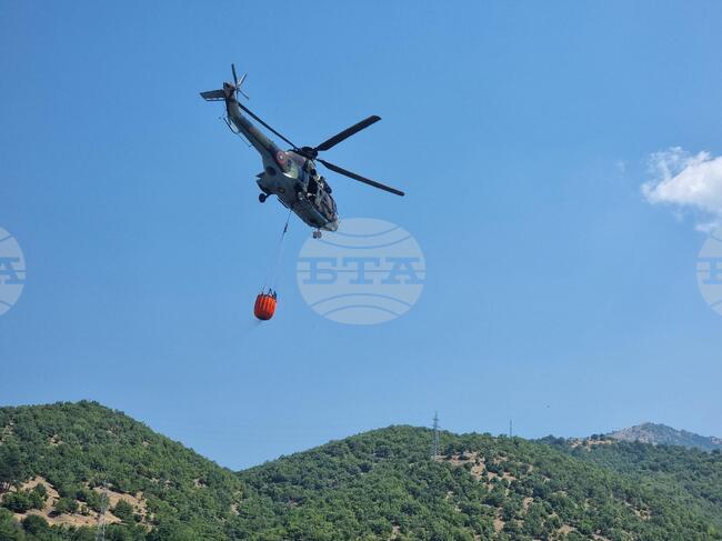 WWF Bulgaria Calls for Adequate Fire Prevention, Greater Support for Volunteers