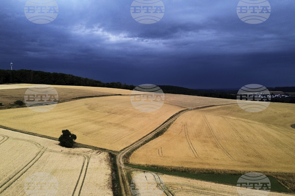 Germany Weather