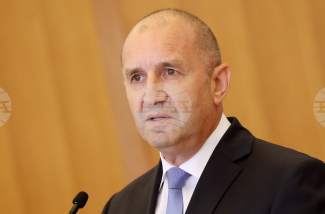 България не стопира Република Северна Македония в нейния път към членство в ЕС, тя сама го прави, заяви държавният глава Румен Радев