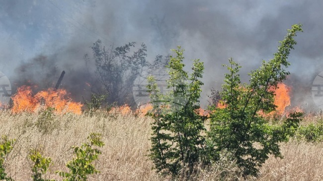 Пожарът край плаж Нестинарка е овладян, съобщи кметът на Царево Марин Киров 