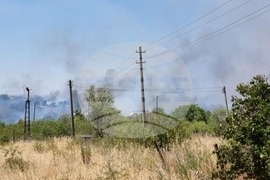 Бургас - местност Острицата - пожар