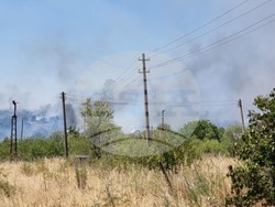 Бургас - местност Острицата - пожар