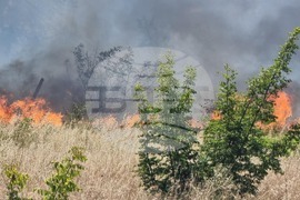 Бургас - местност Острицата - пожар