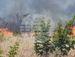Бургас - местност Острицата - пожар
